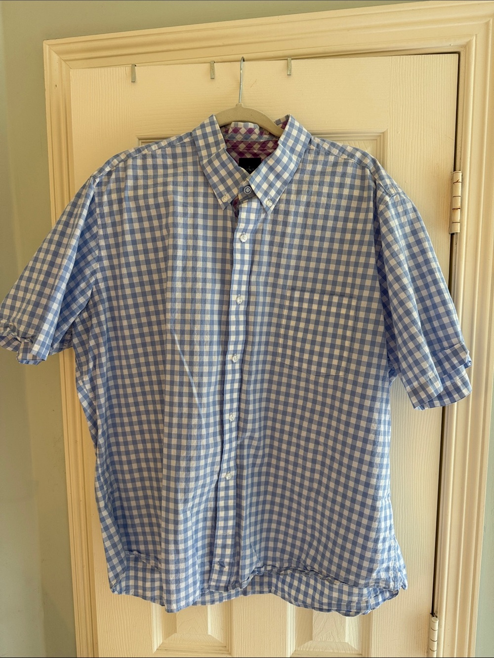 Tailorbyrd Blue and White Gingham Short-Sleeve Button-Down Shirt